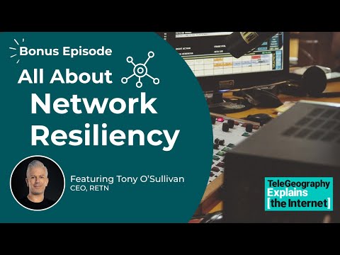 Network Diversity: The Hidden Backbone of Resilient Systems
