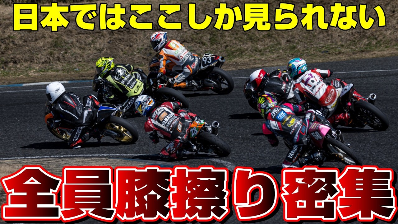 【接触!?】プロライダーのミニバイクレースにスゴ技詰まり過ぎて近い!!!【第2回ピットウォークフェス】