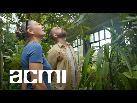 The making of Epiphytes | Tully Arnot and Monica Gagliano