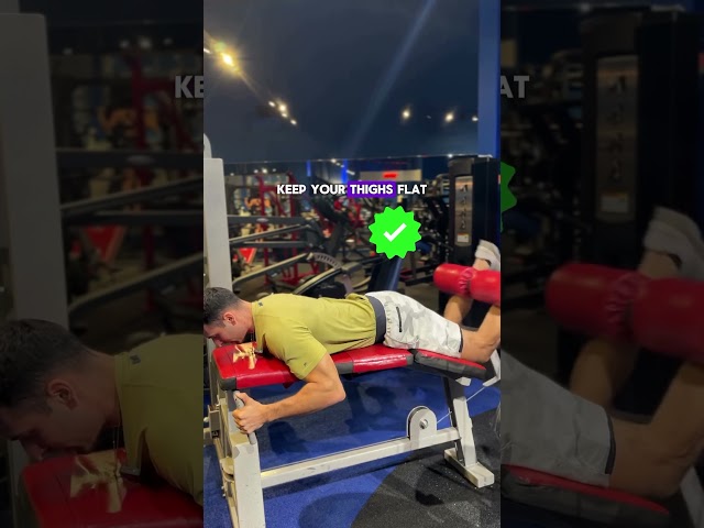 Lying Leg Curl video thumbnail