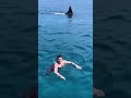 Swimming With A HUGE Shark