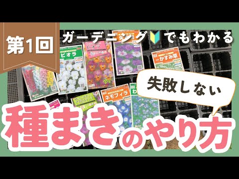 花の種をまく 種まきの準備 一年生種 丈夫な多年草 植物 4月 6月
