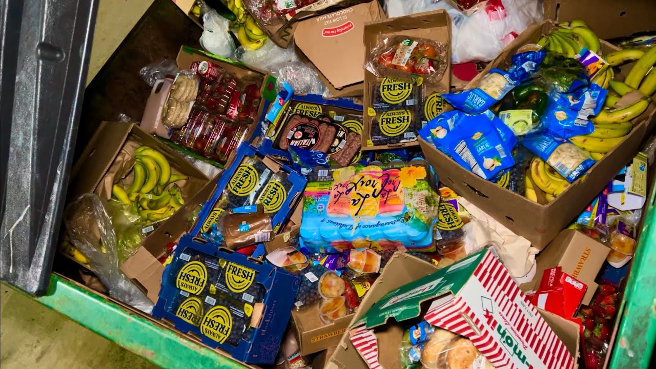 Dumpster Diving Aldi #93 Boxes FULL of FREE Food!