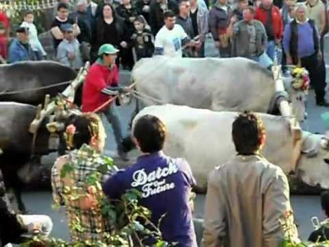 Accettura Il Maggio di San Giuliano 2012  parte 3