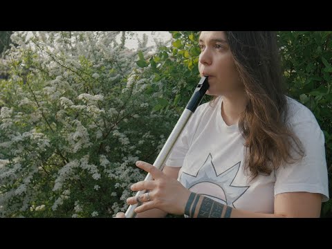 Inisheer (Inis Oírr) - Beautiful Irish Slow Air | Low Tin Whistle | Irish Traditional Flute Music