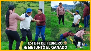 14 de febrero Music Video
