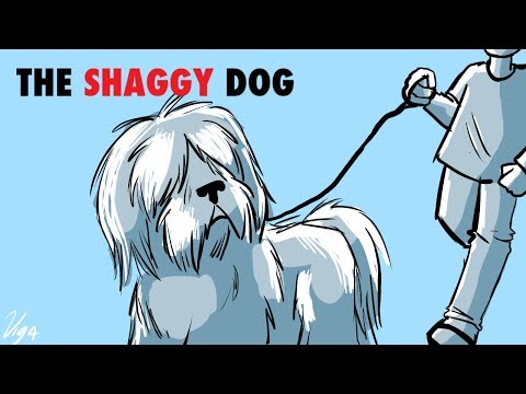 Media Hunter and TestZero - The Shaggy Dog (2006) Review