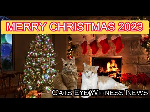 CATS EYE WITNESS NEWS - MERRY CHRISTMAS!