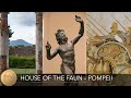 House Of The Faun Pompeii Italy Alexander Mosaic 4K
