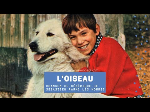 L'oiseau | Chanson du générique de Sébastien parmi les hommes