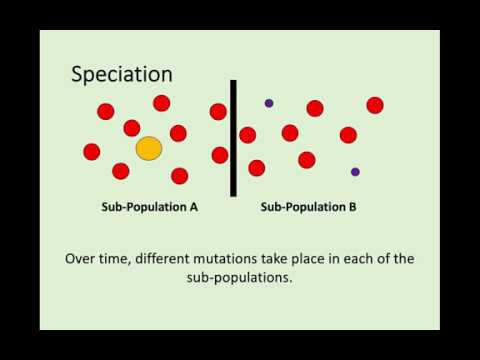 National 5 - 3.6 Evolution of Species