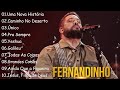 FERNANDINHO Uma Nova Historia Caminho No Deserto Coleção Das Melhores Músicas Gospel Para Você