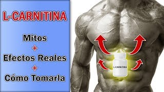 Suplementación Con L-Carnitina - Mitos, Efectos Reales Y Cómo Tomarla