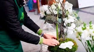 Мастер класс | Потрясающая композиция из мха, веток и калл!