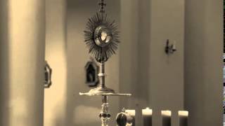 Wciaż mnie zadziwiasz - Parafia Św. Stanisława Bm Włocławek