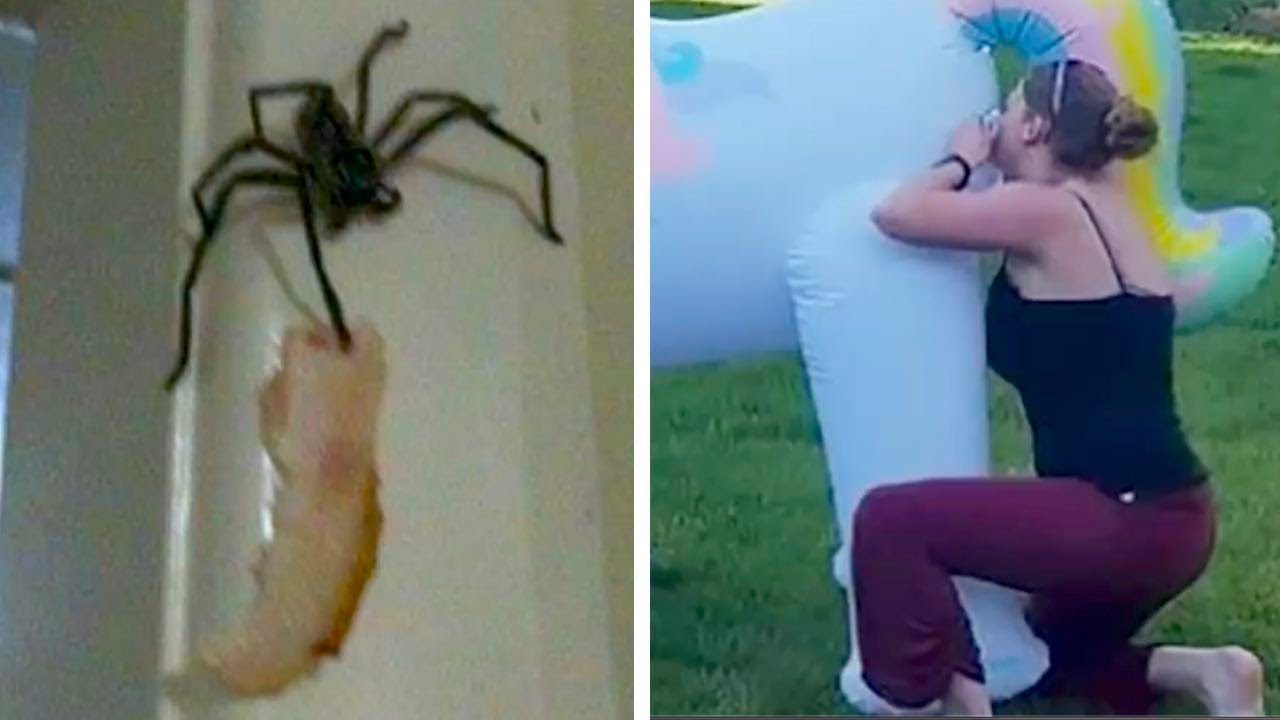 И смех, и слёзы в одном кадре