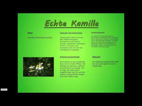 Echte Kamille  - Wissenswertes