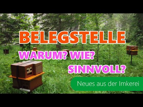 Visit to the mating station 2021 | How are things going? | Mating station mated queens | Beekeepi...