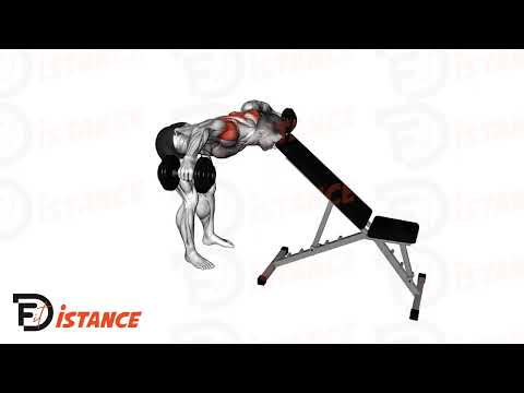 Exercice Élévations arrières debout avec tête contre le banc