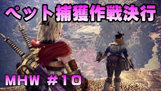 ペット捕獲作戦決行【ゲーム実況】MONSTER HUNTER WORLD【にゃとらす】 #10