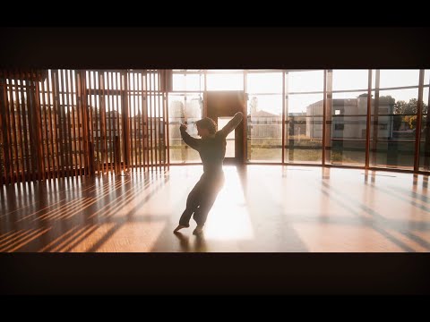 Federico Mecozzi - Voglio vederti danzare (di Franco Battiato) - con Kledi Kadiu