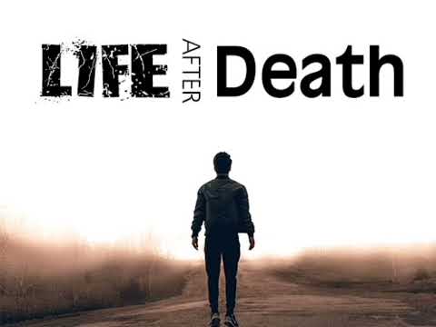 CATHOLIC MEDITATION: Saturday - 19 November, 2022. 33rd week - Ordinary Time, Year C.