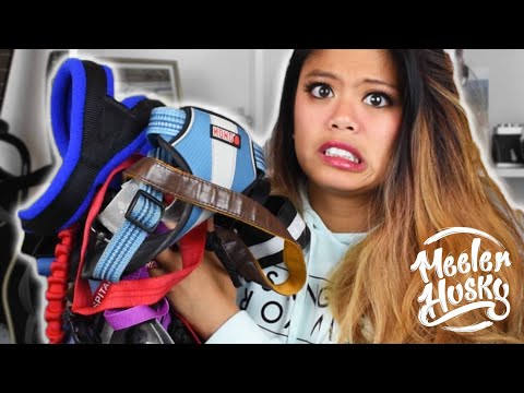 YouTube video about: How to keep dog leash from tangling?