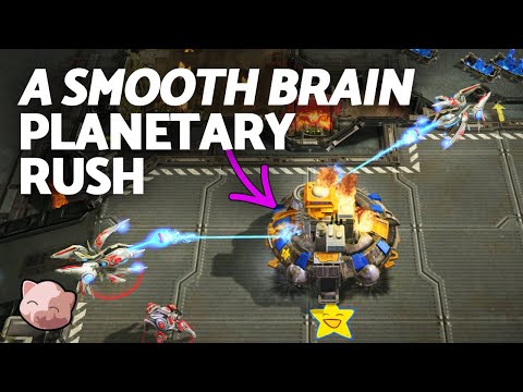 The Best (and Worst) Smooth Brain Auditions Season 3 - StarCraft 2