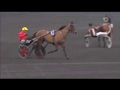 Prix d'Amérique 2017, Bold Eagle