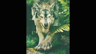 Download lagu story WhatsApp harimau putih mp3 Download lagu story WhatsApp harimau putih mp3
