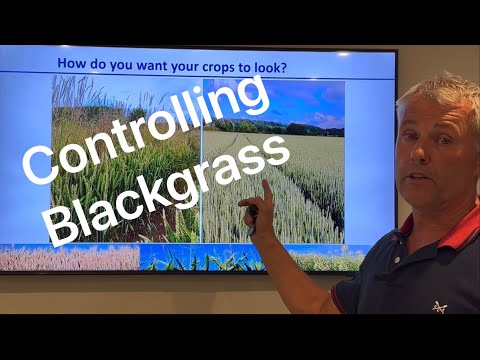 FARM UPDATE 157 DEDICATED TO BLACKGRASS, OUR CONTROL STRATEGY, COST & HOW WE’VE HAD 9 CLEAN HARVESTS