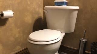 How to REMOVE the YELLOW Ring Around Toilet Bowl