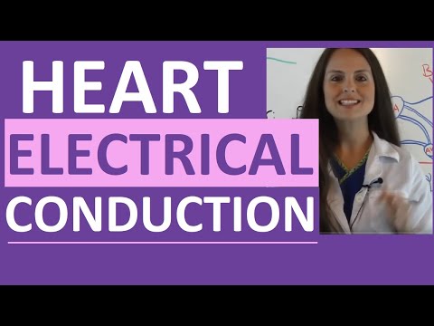 Electrical Conduction System of the Heart Cardiac | SA Node, AV Node, Bundle of His