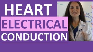 Electrical Conduction System of the Heart Cardiac