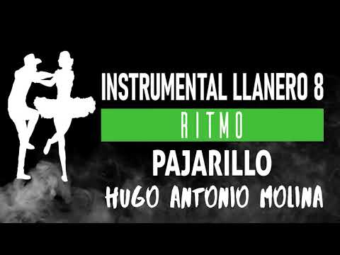 INSTRUMENTAL LLANERO 8 - PAJARILLO EN BANDOLA