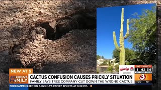 Healthy Saguaro cactus mistakenly cut down, Scottsdale couple says