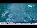 LIVE PM Modi Inaugurates Integrated Sea Survival Training Centre ONGC Institute