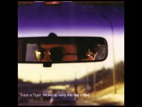Track a Tiger - Glad To Be Scattered
