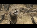 Elephant Stampede Part 1 Mufasa The Lion King 2024