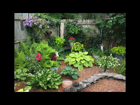 Garden Tour of my Mom's Garden