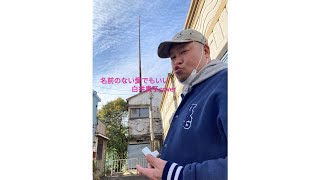 火曜サスペンス劇場 op ed 白井貴子 名前のない愛でもいい أغاني Mp3 مجانا 火曜サスペンス劇場 op ed 白井貴子 名前のない愛でもいい أغاني Mp3 مجانا