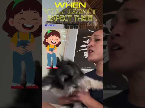 A golden buzzer for this dog#shortvideo #viral#dog #reaction #shorts #funnyvideo