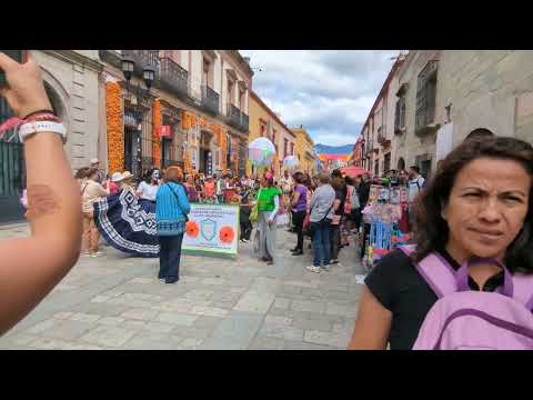 Festividades do Día de los Muertos//Oaxaca Centro #oaxaca #itsaoaxacathing