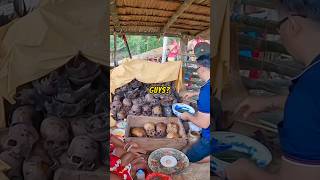 Download lagu NGAYAU Tradition of the DAYAK Tribe of Indonesia🇮🇩🇮🇩🔥 mp3 Download lagu NGAYAU Tradition of the DAYAK Tribe of Indonesia🇮🇩🇮🇩🔥 mp3