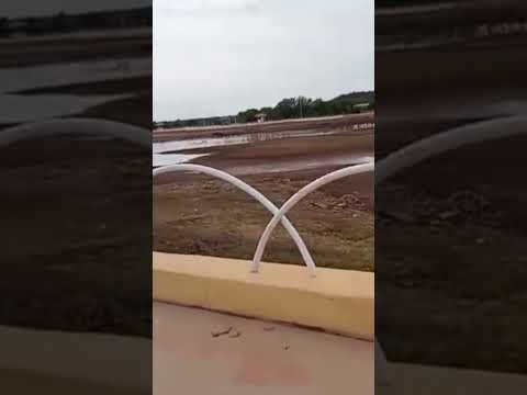 14 de novembro de 2025