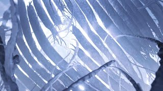 [荒野] 這代獵人是最會裝逼的嗎？