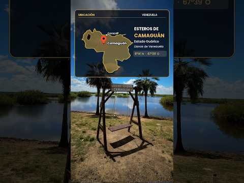 Esteros de Camaguán en moto 🏍️ Llanos de Venezuela #shorts