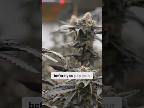 Are You Making This Big Mistake When Growing Plants?