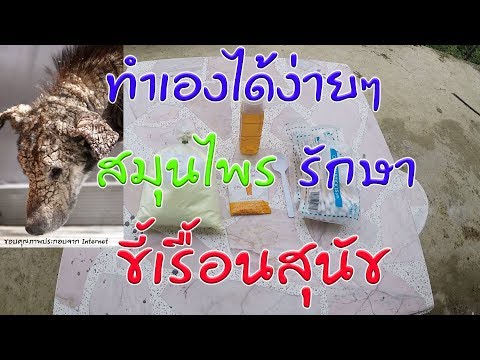 ครีมกลากในประเทศไทย โรงพยาบาลใน krymu สำหรับโรคสะเก็ดเงิน