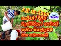 Episode 57 කෘමි විකර්ෂකයක් දිලීර නාශකයක් බැ�